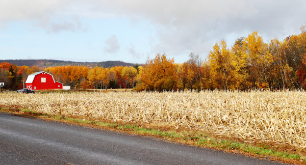 A farm between Berwick and Kentville